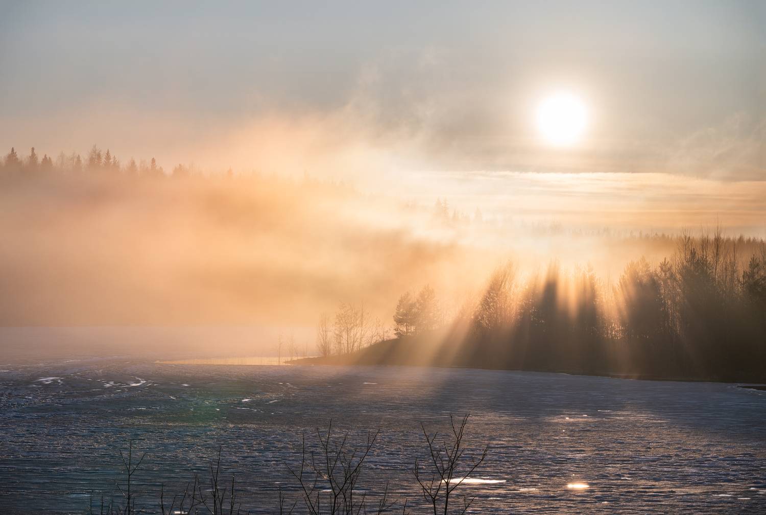 , Алексей Турчин