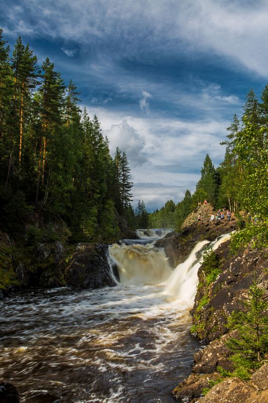 Кивач фото превью