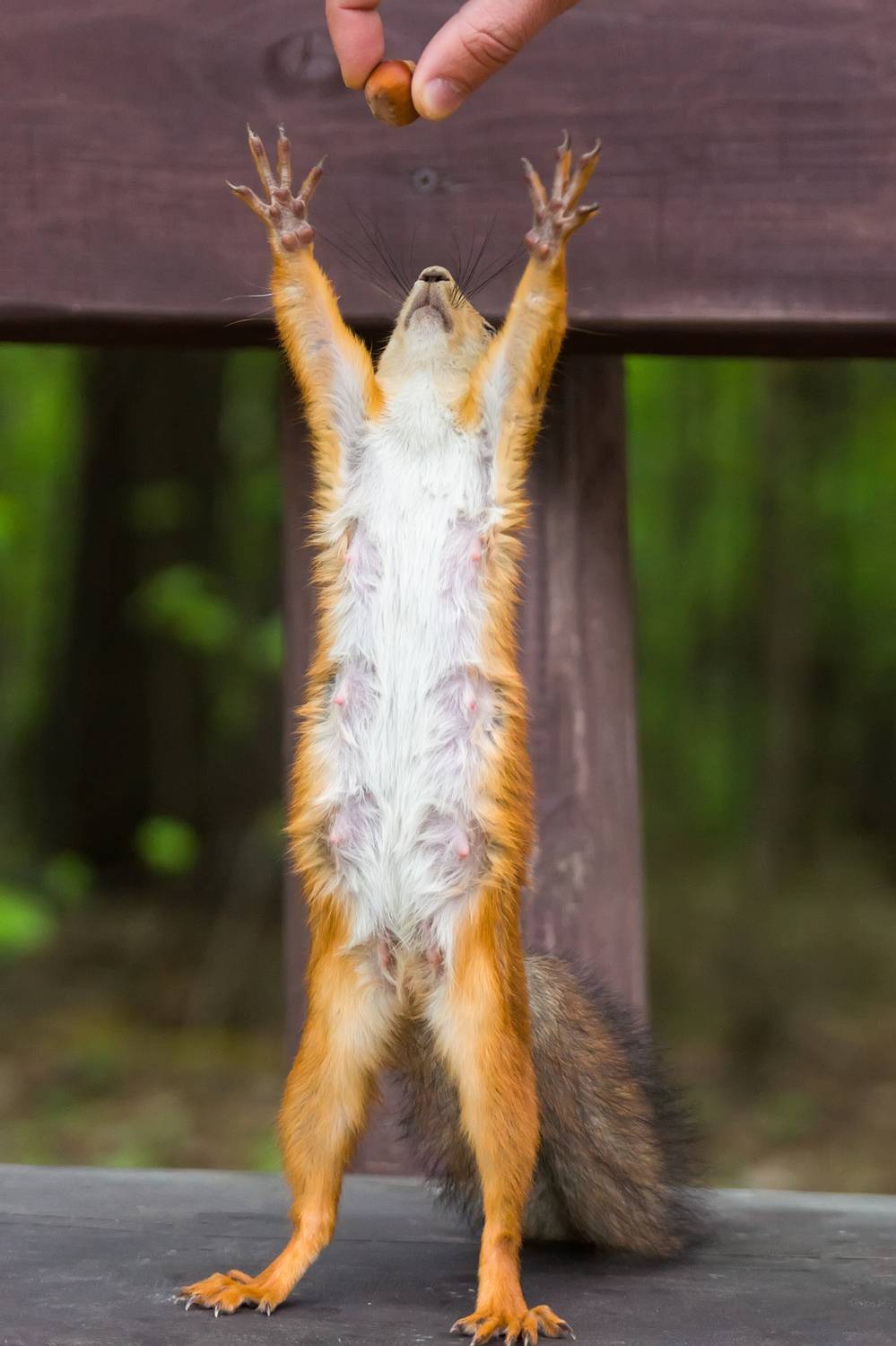 , Корнеев Алексей