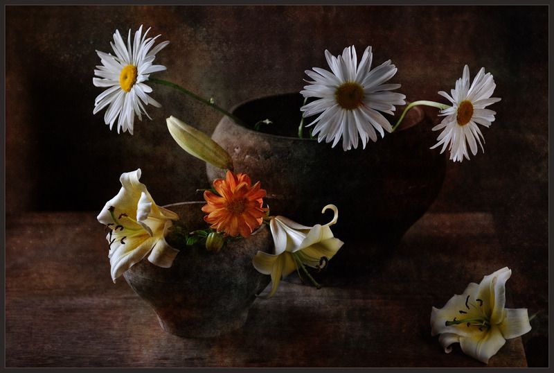 Дачная лирика фото превью