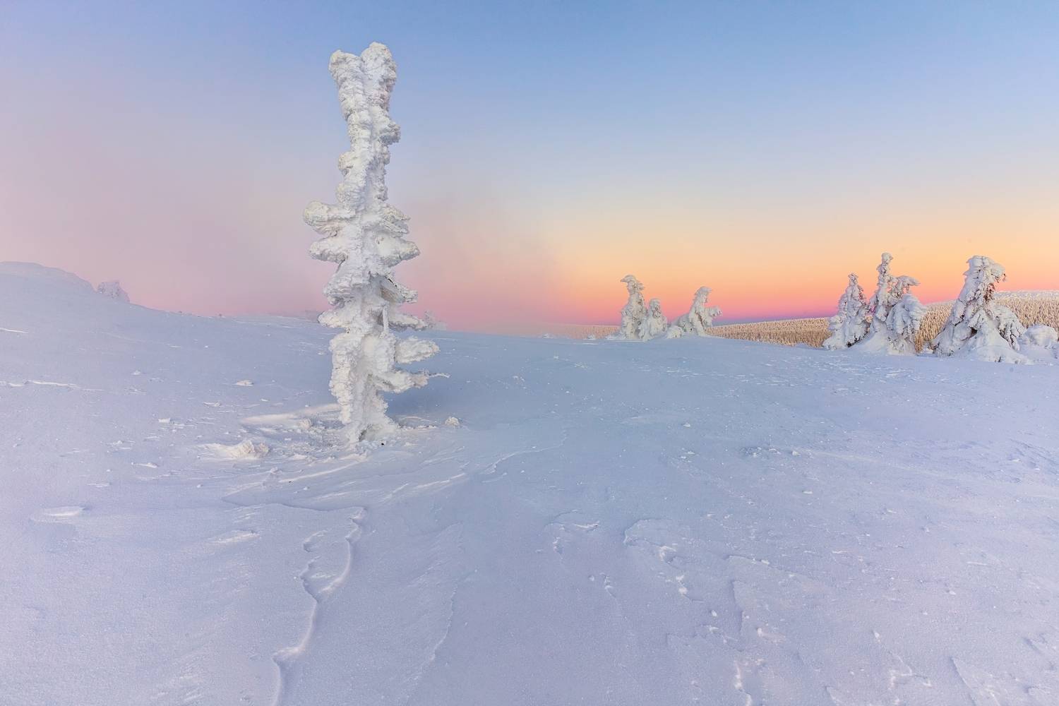 landscape, Petr Fiala