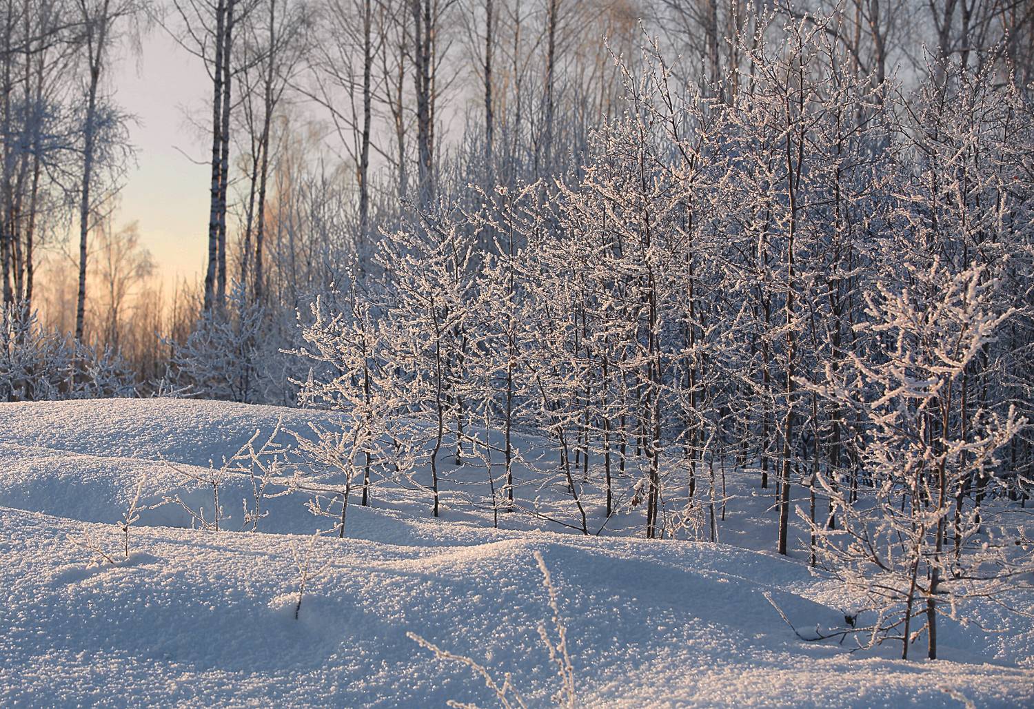 , Евгений Зинов