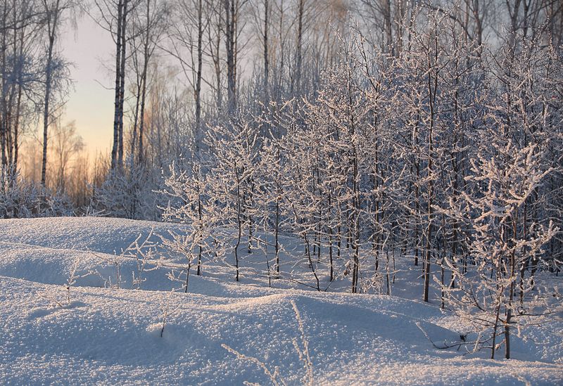 Морозное утро фото превью