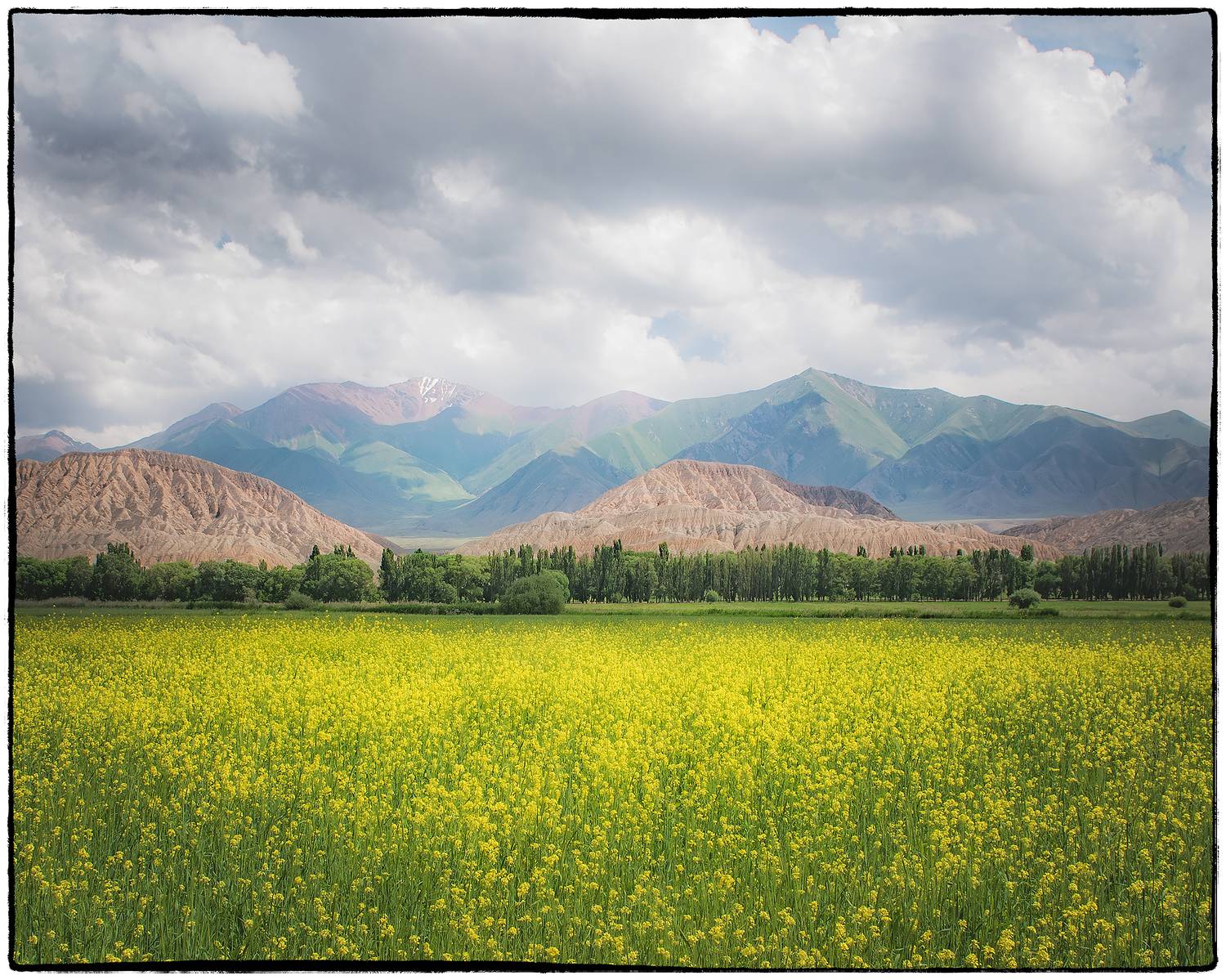 , Владимир Поляков