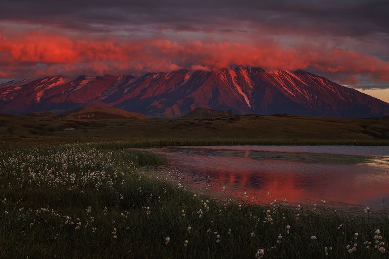 Толбачик фото превью