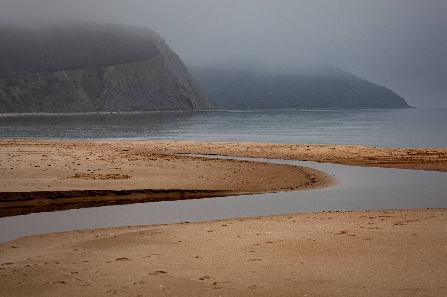 , Мариана Добрева