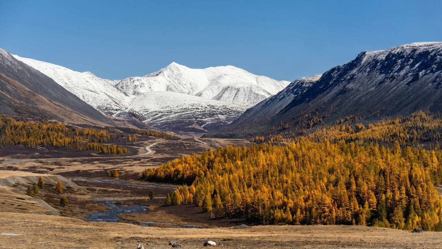 алтай, южно-чуйский хребет, джазатор, осень, Дубровская Екатерина