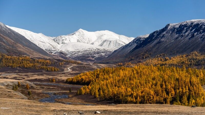 алтай, южно-чуйский хребет, джазатор, осень Дорога в небо. Южно-Чуйский хребет, Алтай. фото превью