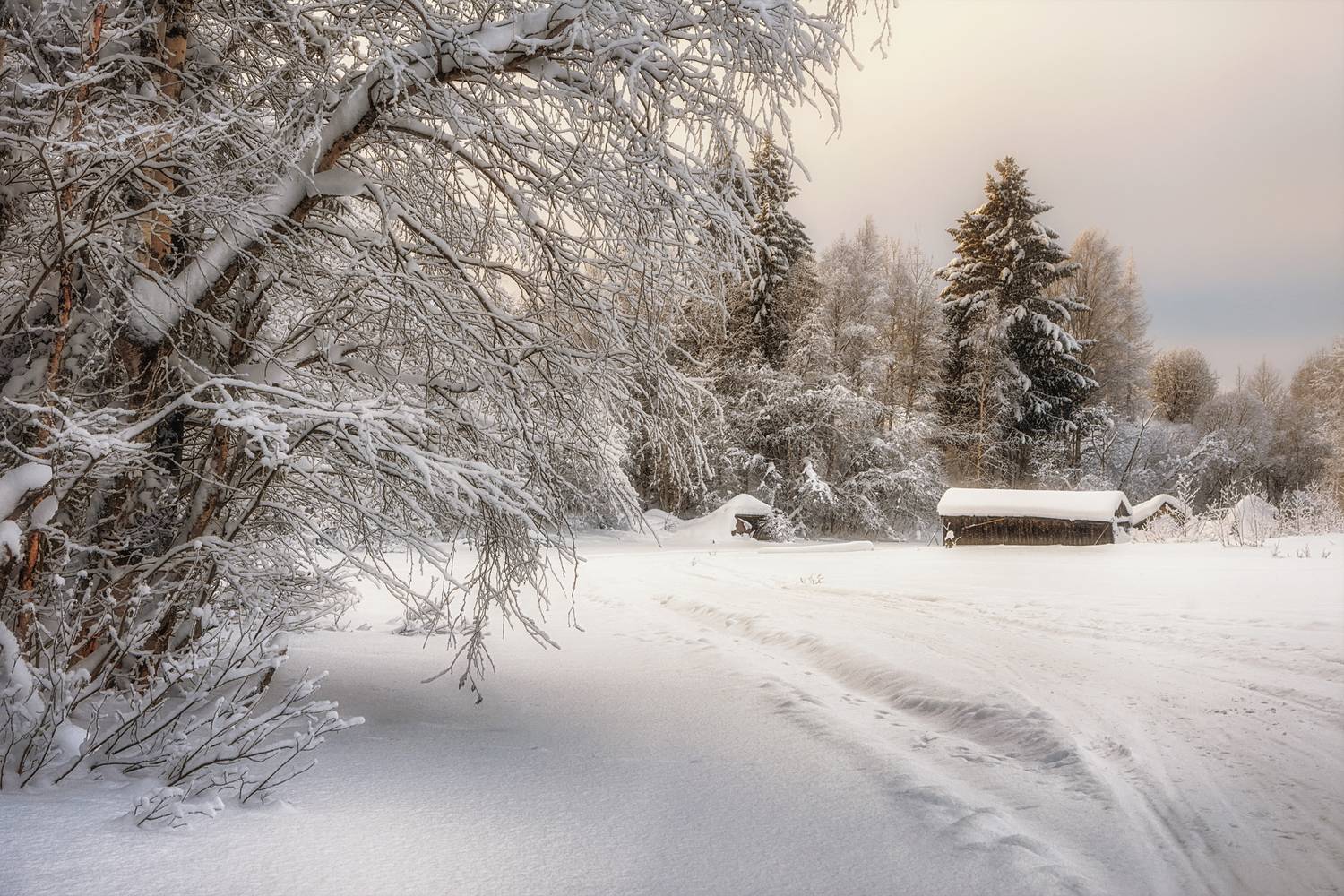 зима, дорога, река, деревья, елки, иней, мороз, сугробы, Вера Ра