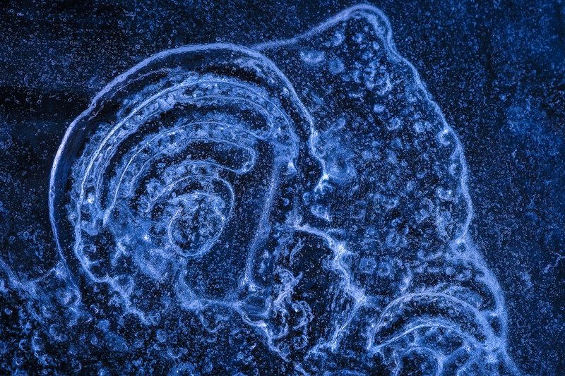 2025 фото превью