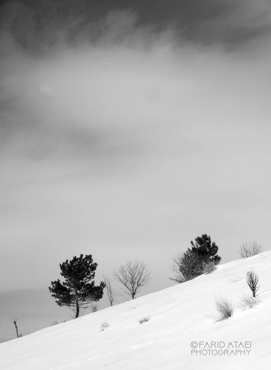 , Farid Ataei