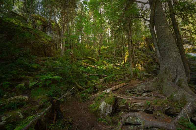 Жигалан, водопады В чаще леса фото превью