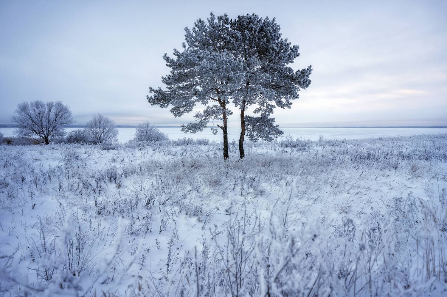 , Алексей Глухов