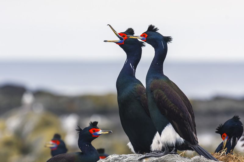 Про любовь фото превью