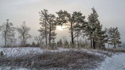 Рассветный туман