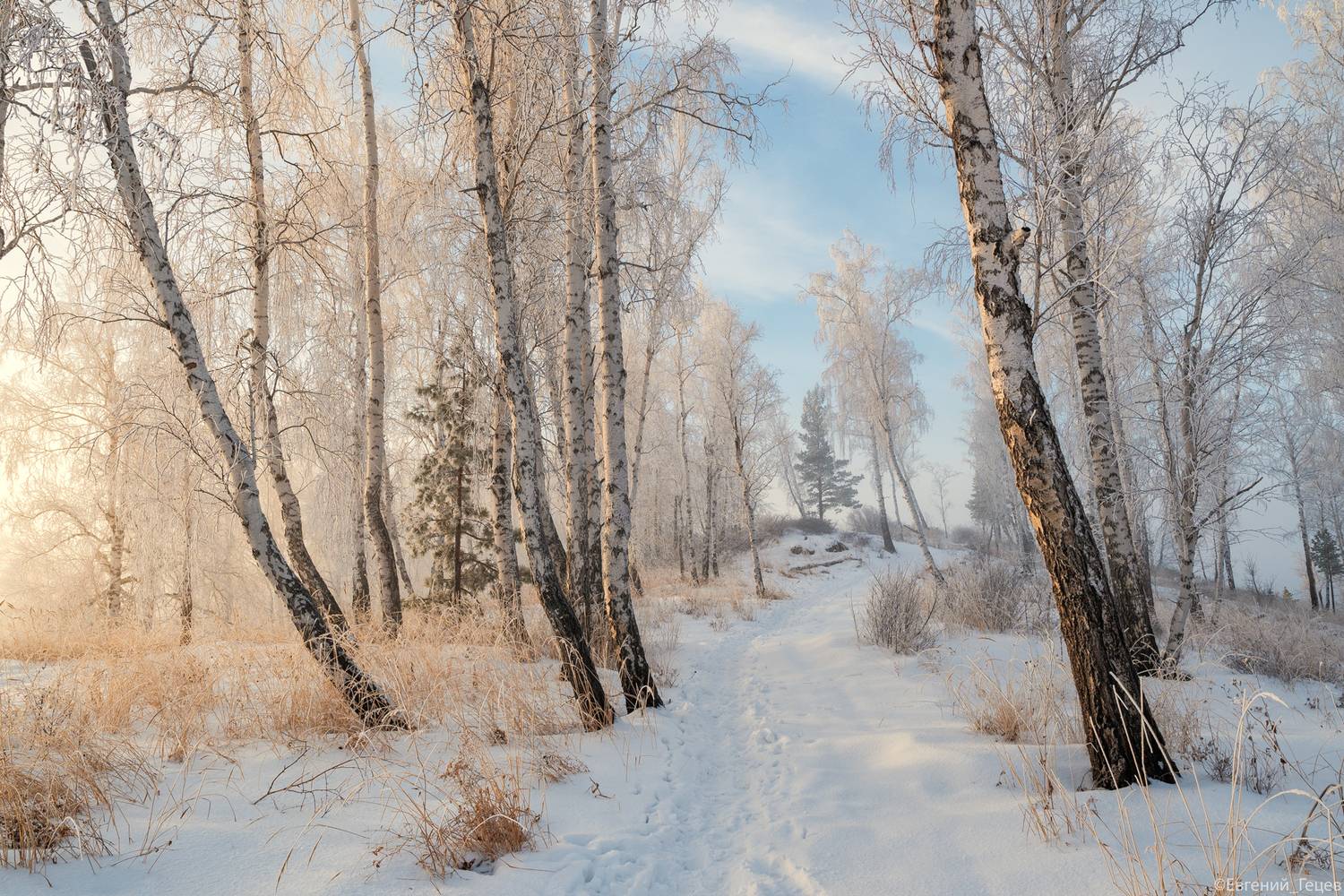 пейзаж, урал, горы, зима, рассвет, деревья, березы, снег, Евгений Гецев