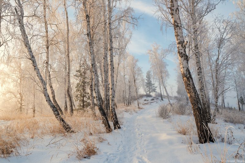 Мороз и солнце фото превью