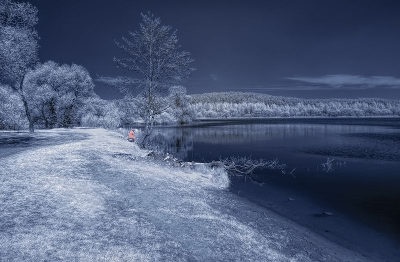 В ожидании золотой рыбки фото превью