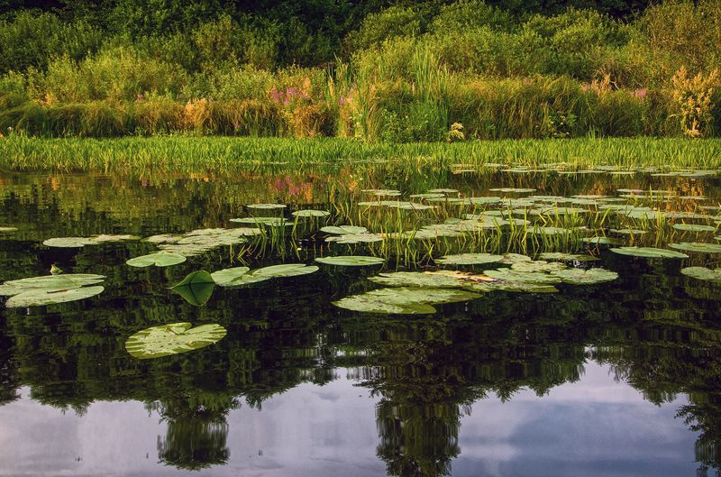 Озеро фото превью