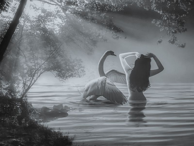 Леда фото превью