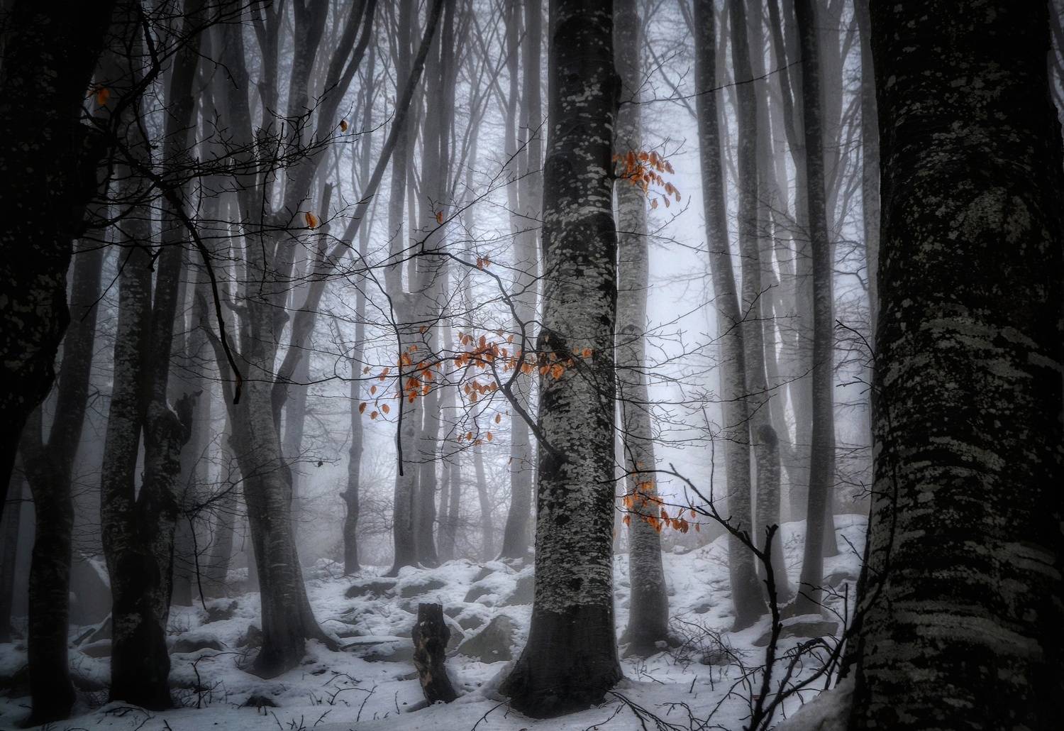 , Юлияна Стоянова