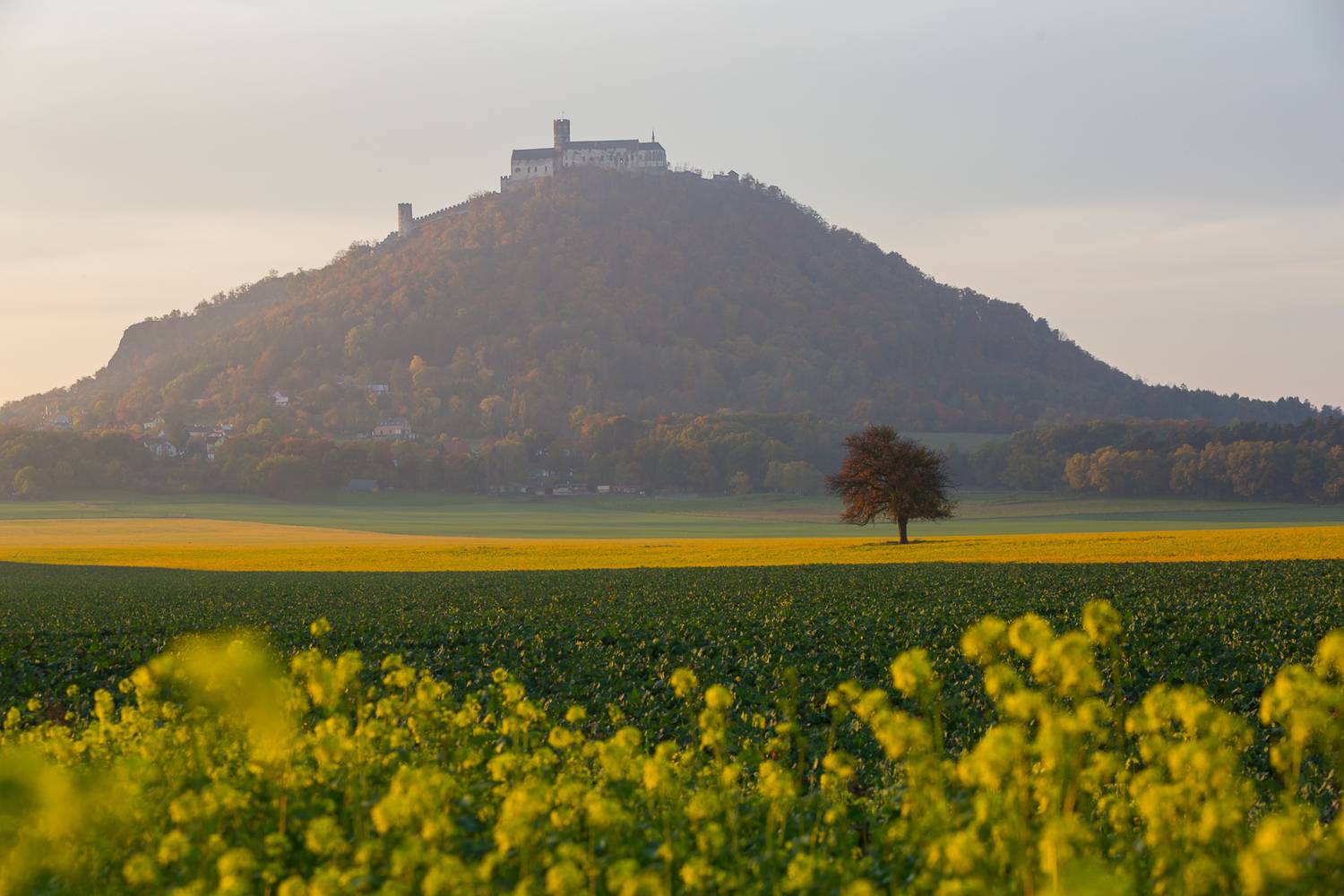 бездез, замок, замок бездез, чехия, ческа-липа, готика, пейзаж, bezdez, czech, castle,, Титов Сергей