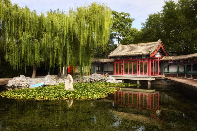 В парке Пекина фото превью