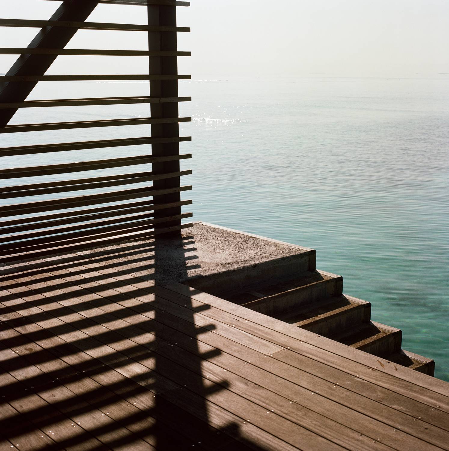 bronica sq-a, bronica, sq-a, zenzabronica, film, плёнка, medium format, m-format, middle, 120 film, 6x6, 120mm, средний формат, Kodak, Portra, Portra 160, Kodak Portra, Kodak Portra 160, Попов Алексей