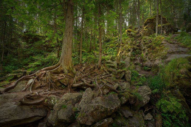 Жигалан, водопады Утренняя тропа фото превью