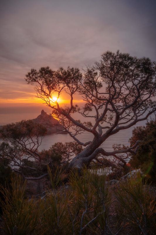 Рассвет в Крыму фото превью