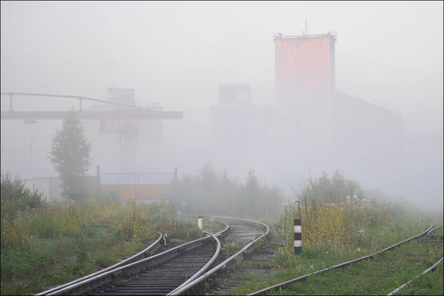 , Георгий Сапожников