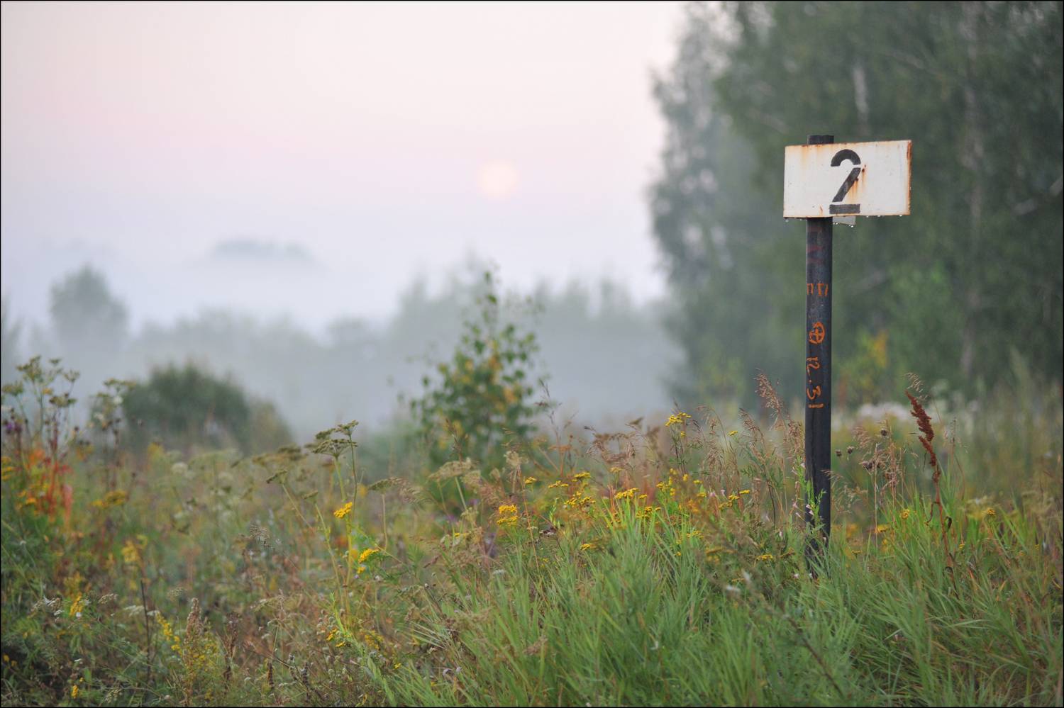 , Георгий Сапожников