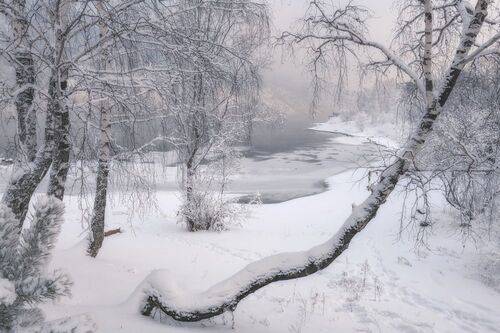 Зимняя нежность