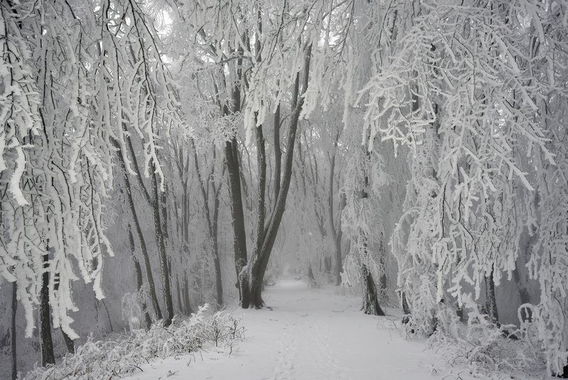 Февраль на Кизиловке фото превью
