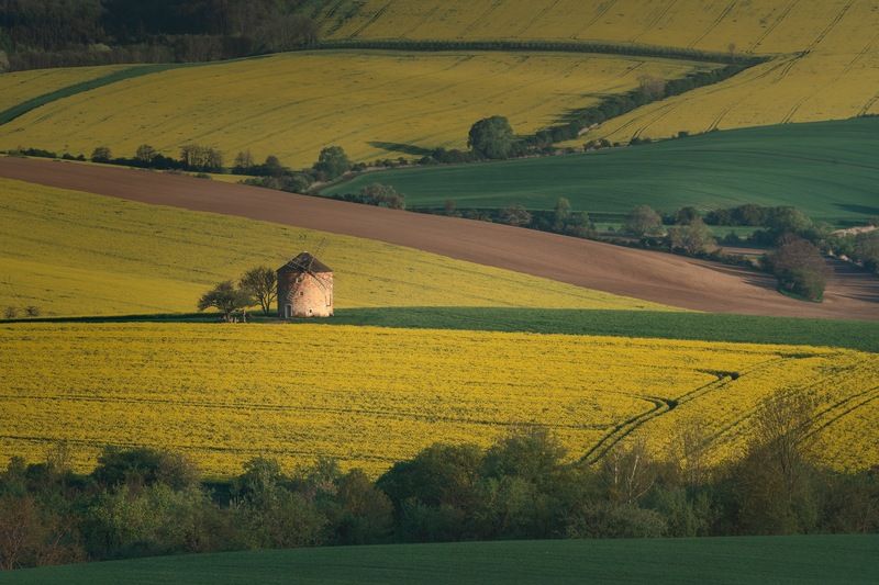 Старая мельница фото превью