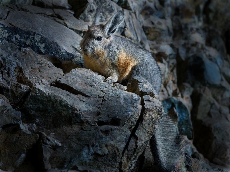 Хозяйка медной горы фото превью