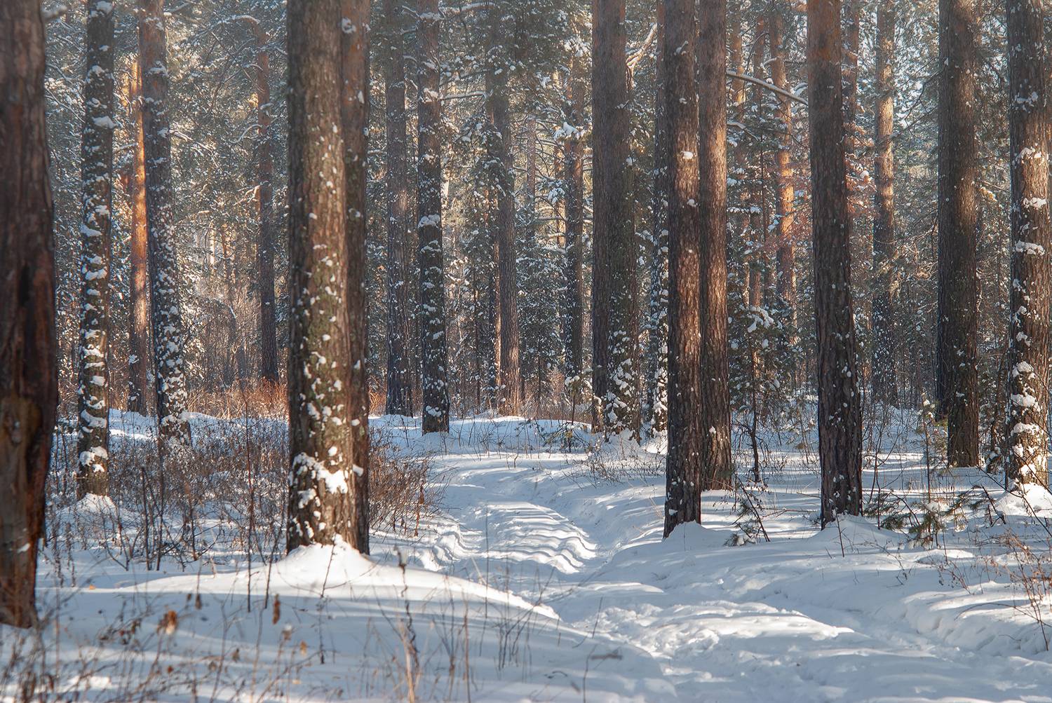 , Евгений Зинов