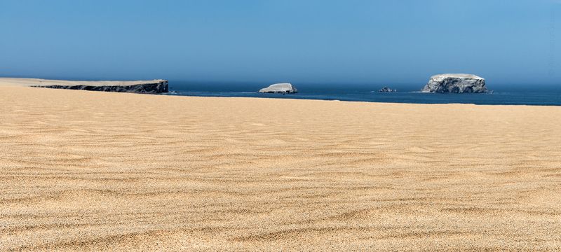 Встреча фото превью