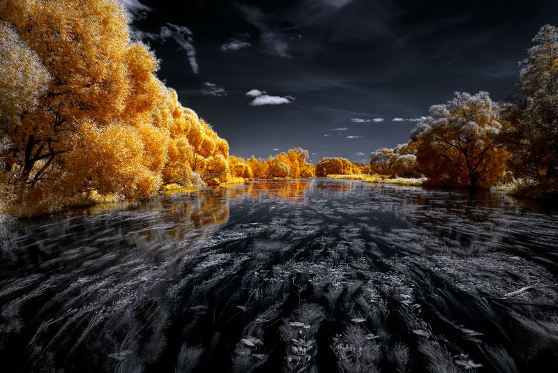 Замирания в летних течениях фото превью