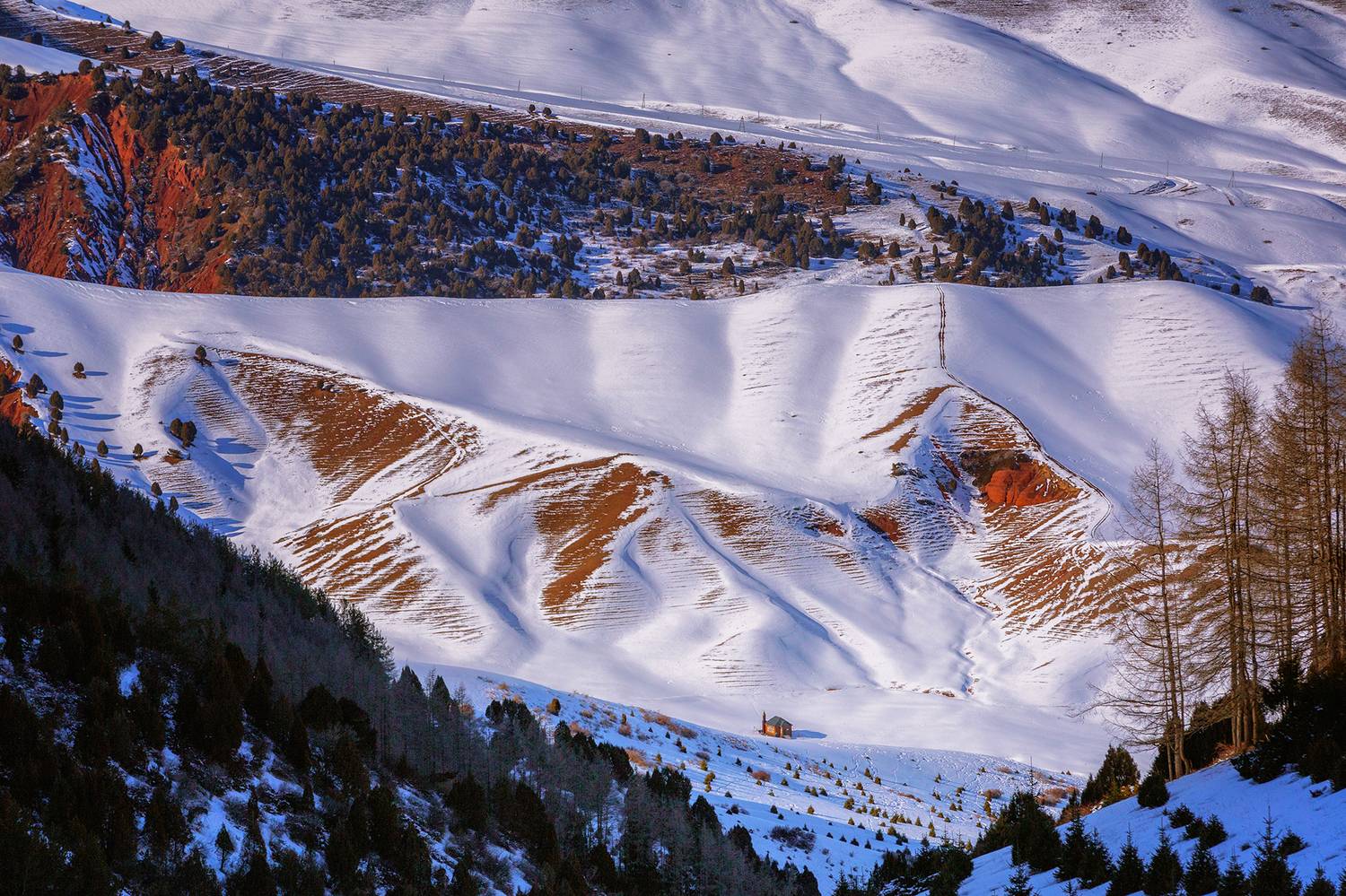 кыргызстан, урочище чункурчак, Элина Магалимова