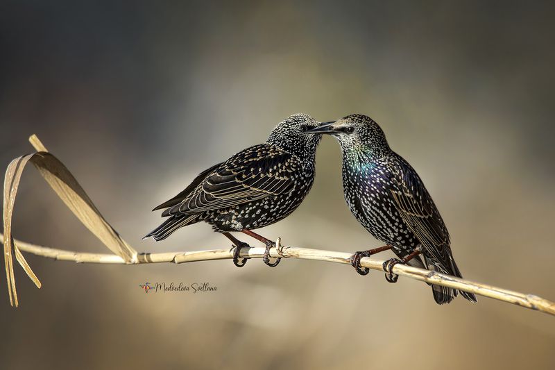 Поговорим о хорошем. фото превью