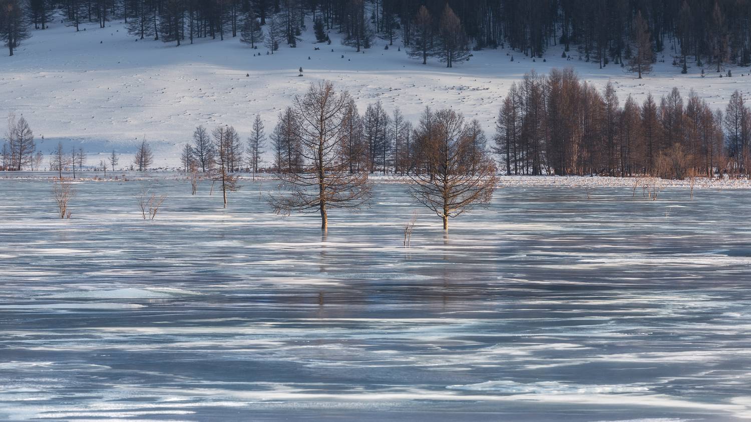 алтай, Александр Писарев
