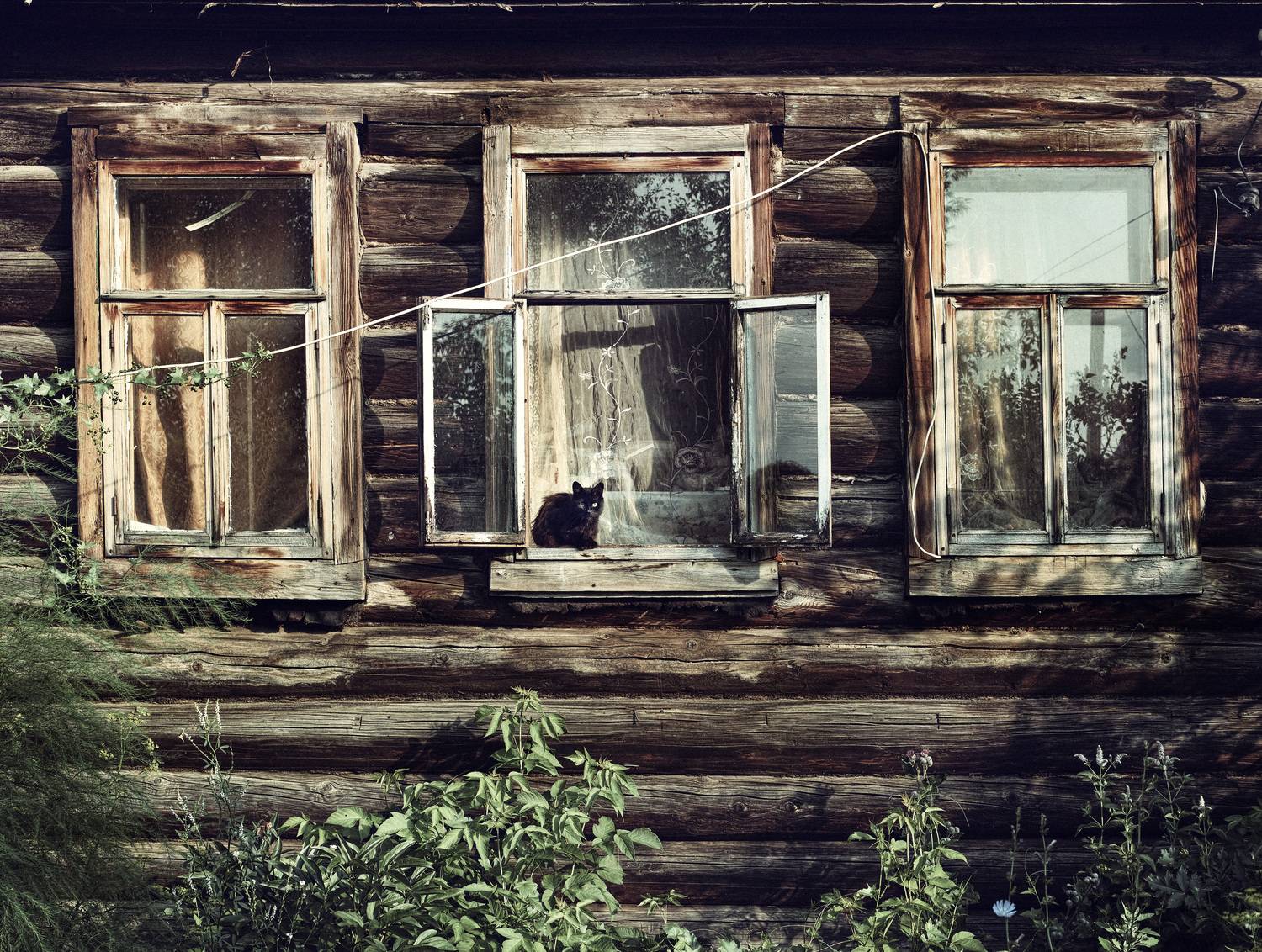 , Лофицкая Лариса