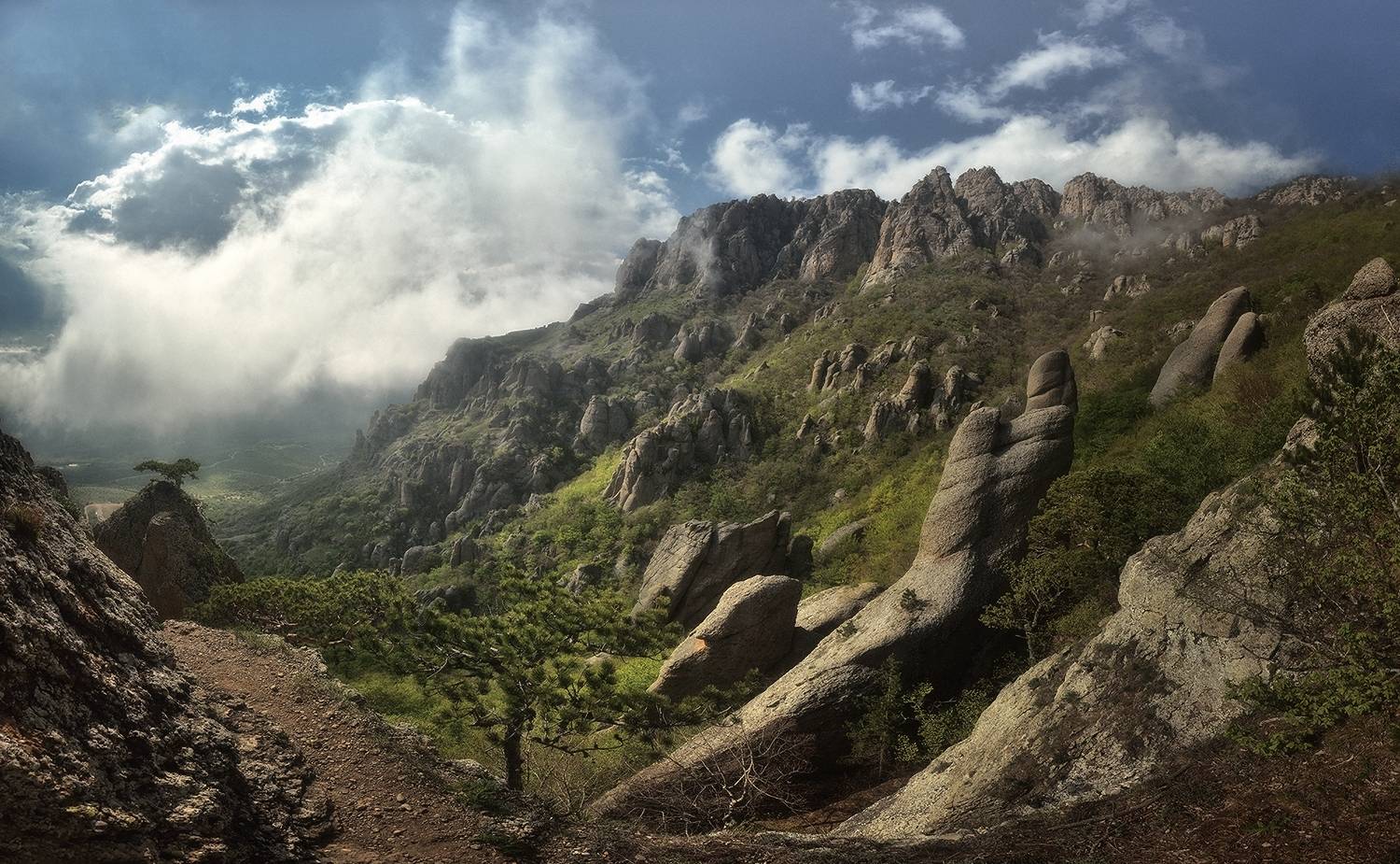 , Алексей Никонов
