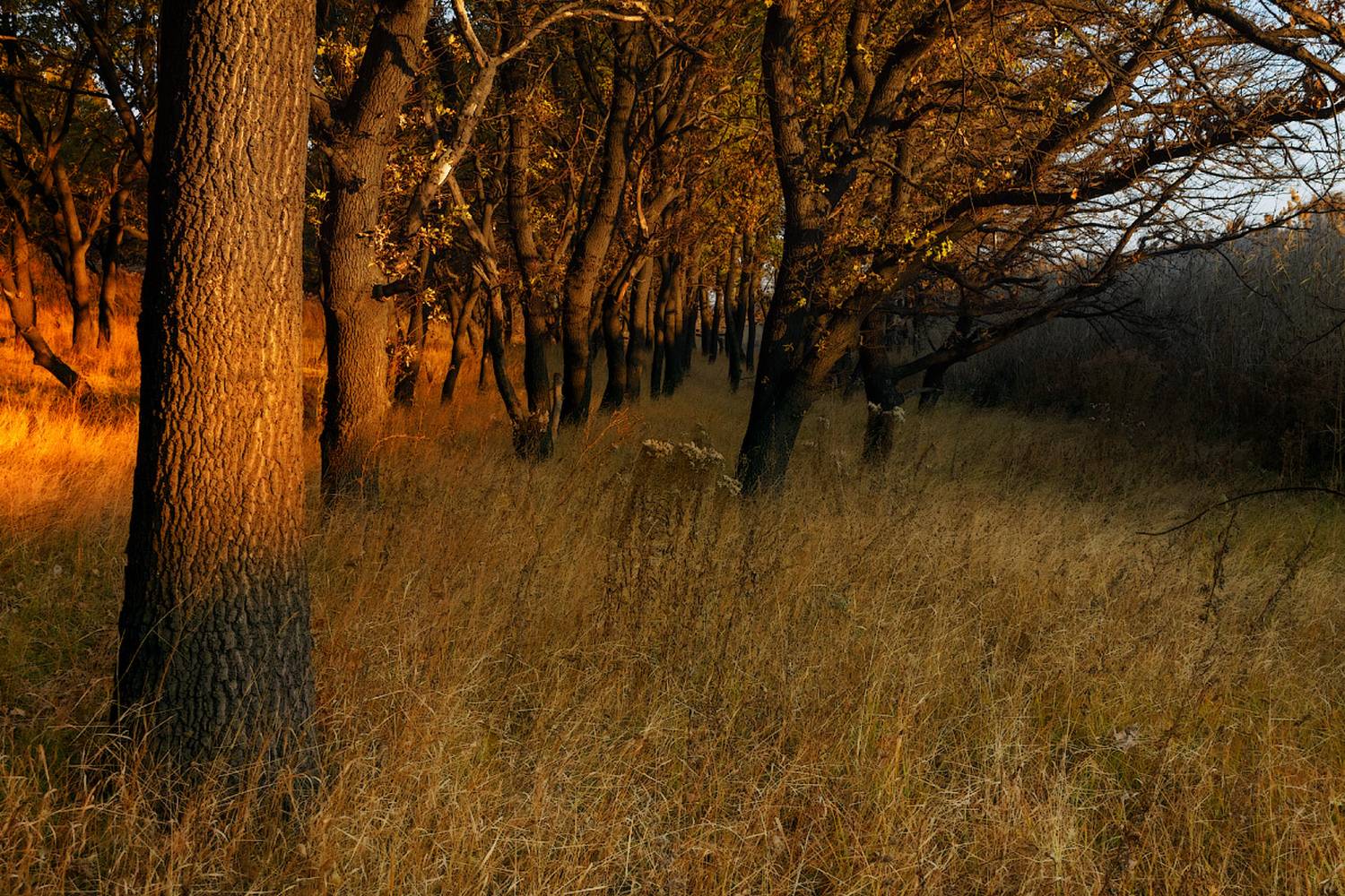 , Лысенко Сергей