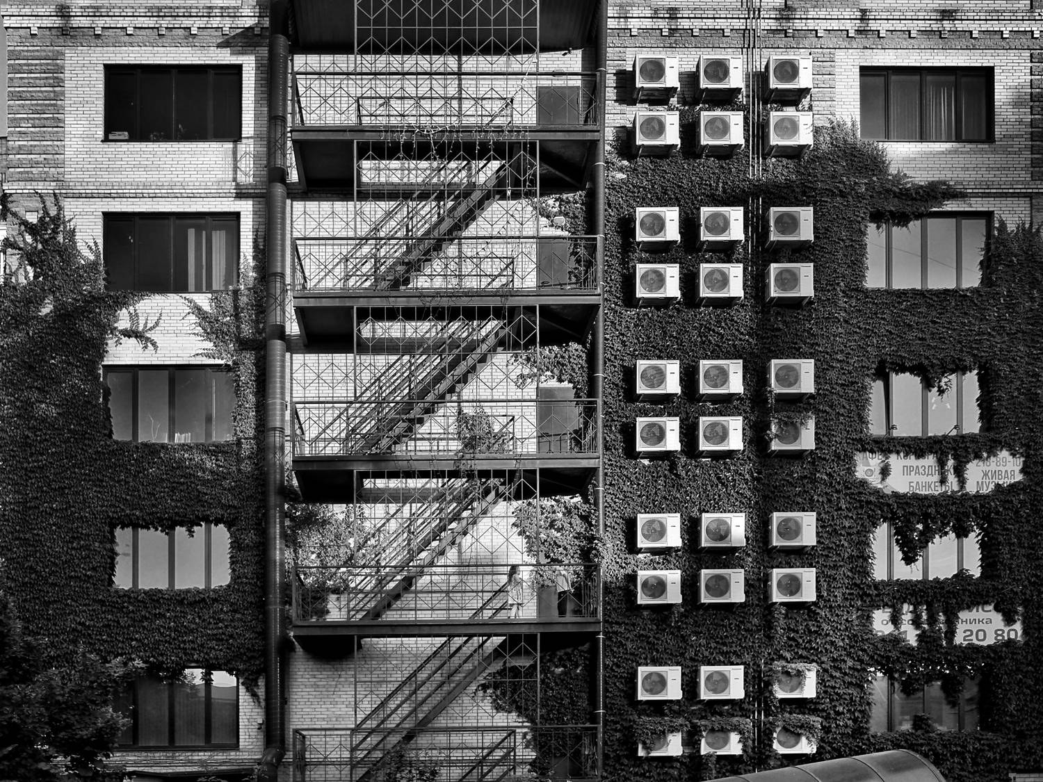 архитектура, окна, глаза города, геометрия, Зорин Миша