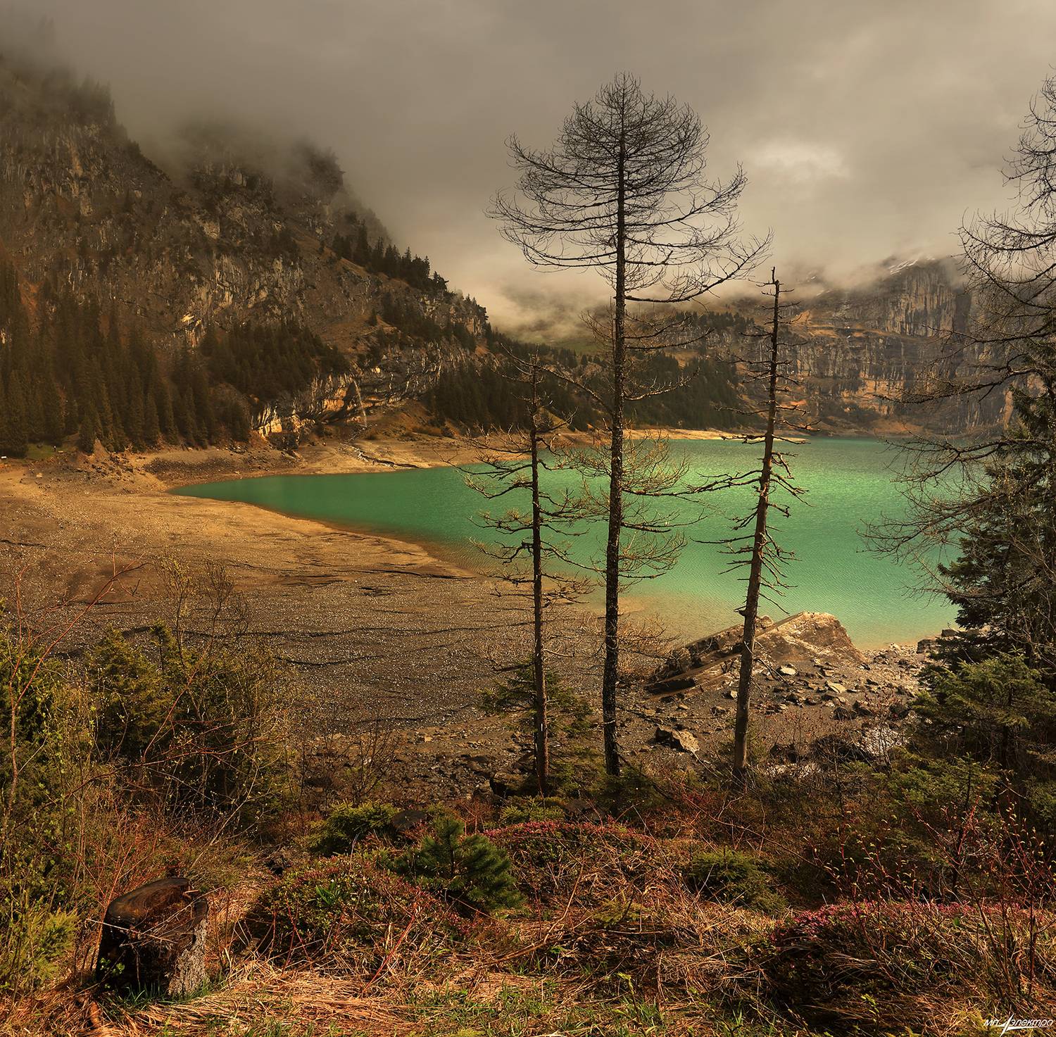 swiss,швейцария,горы,весна,kandersteg, Матвеев Николай