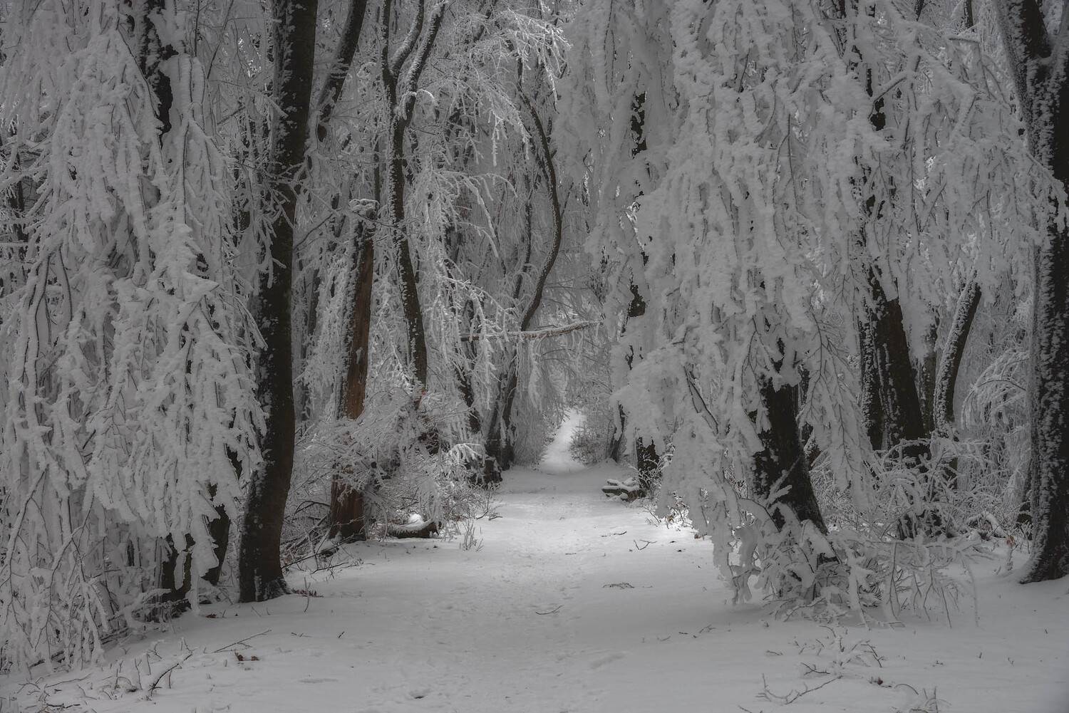, Шевченко Юрий