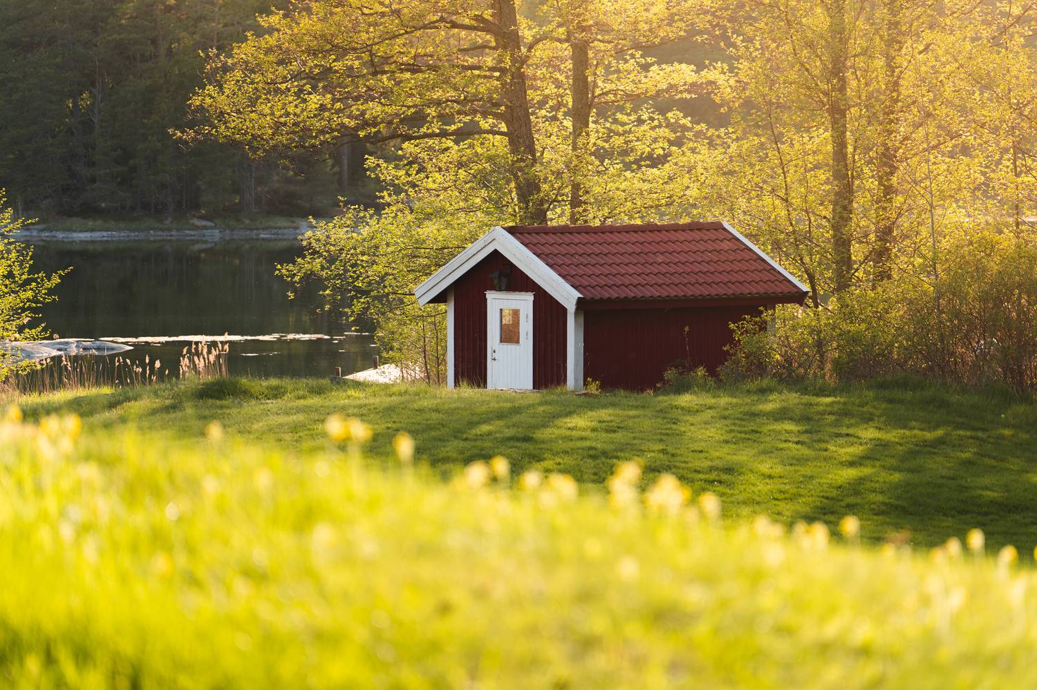 лето, дом, озеро, лес, Soul