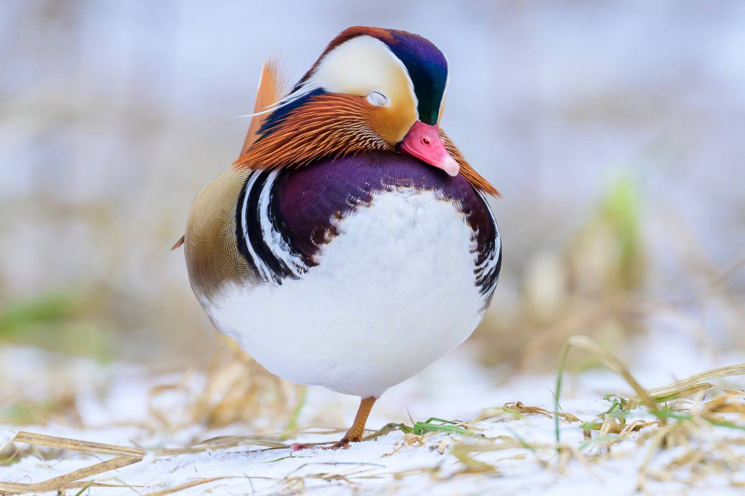 , Пупонин Сергей